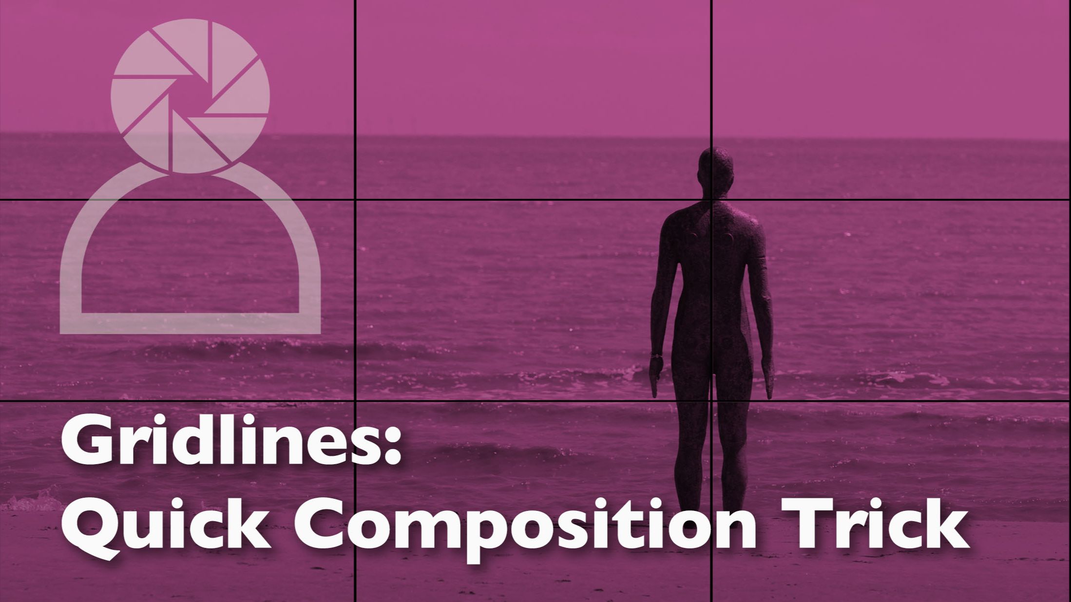 Header graphic for a photography blog post about using the gridlines feature in your viewfinder
