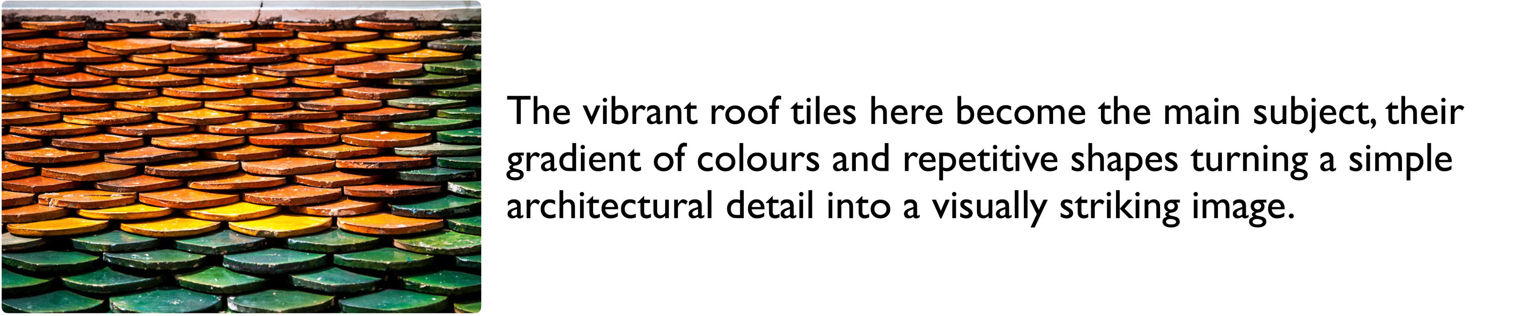 Look for specific elements such as pattern and texture that stand out.