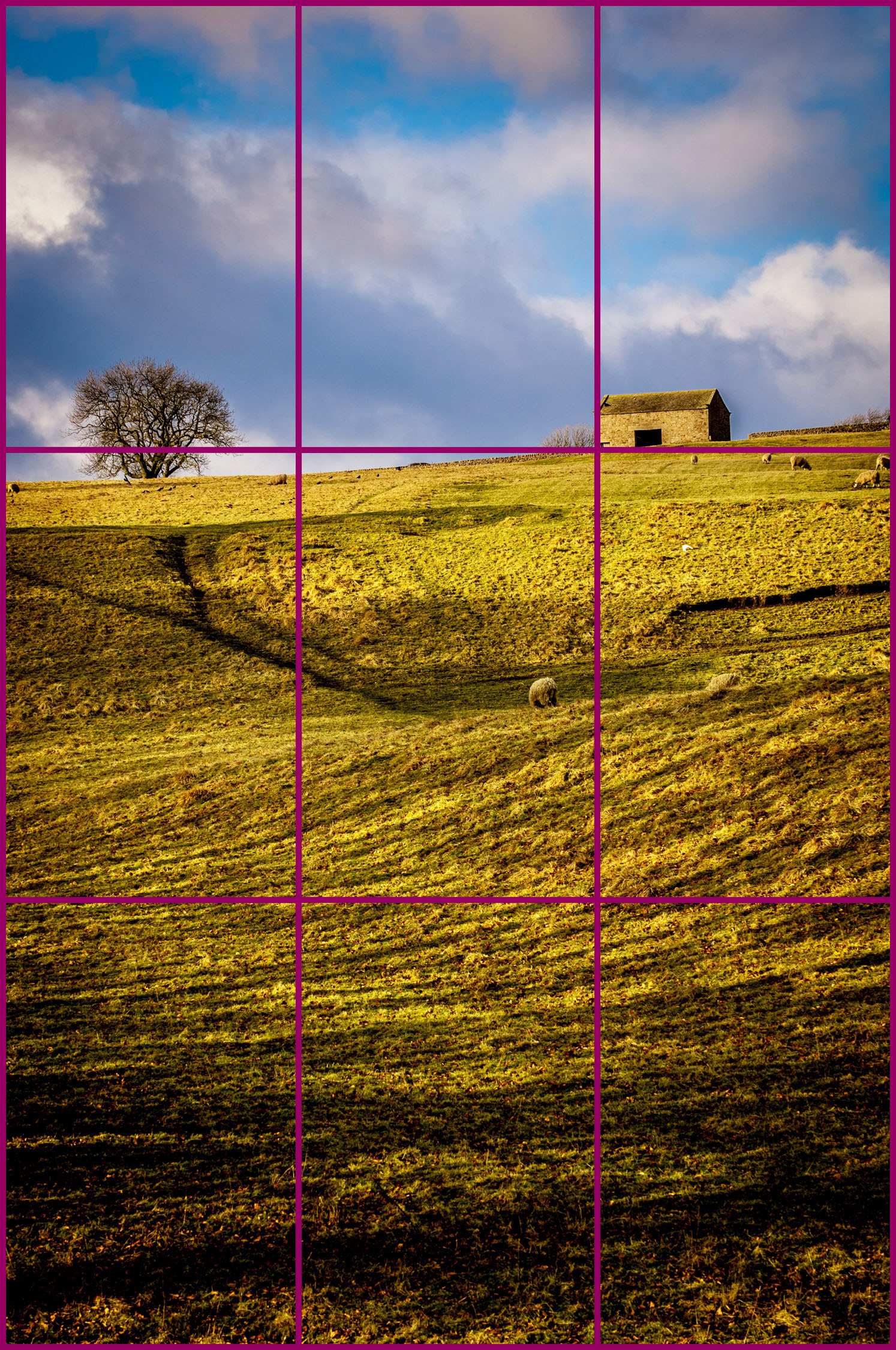 Demonstrating the "Rule of Thirds" on a landscape.