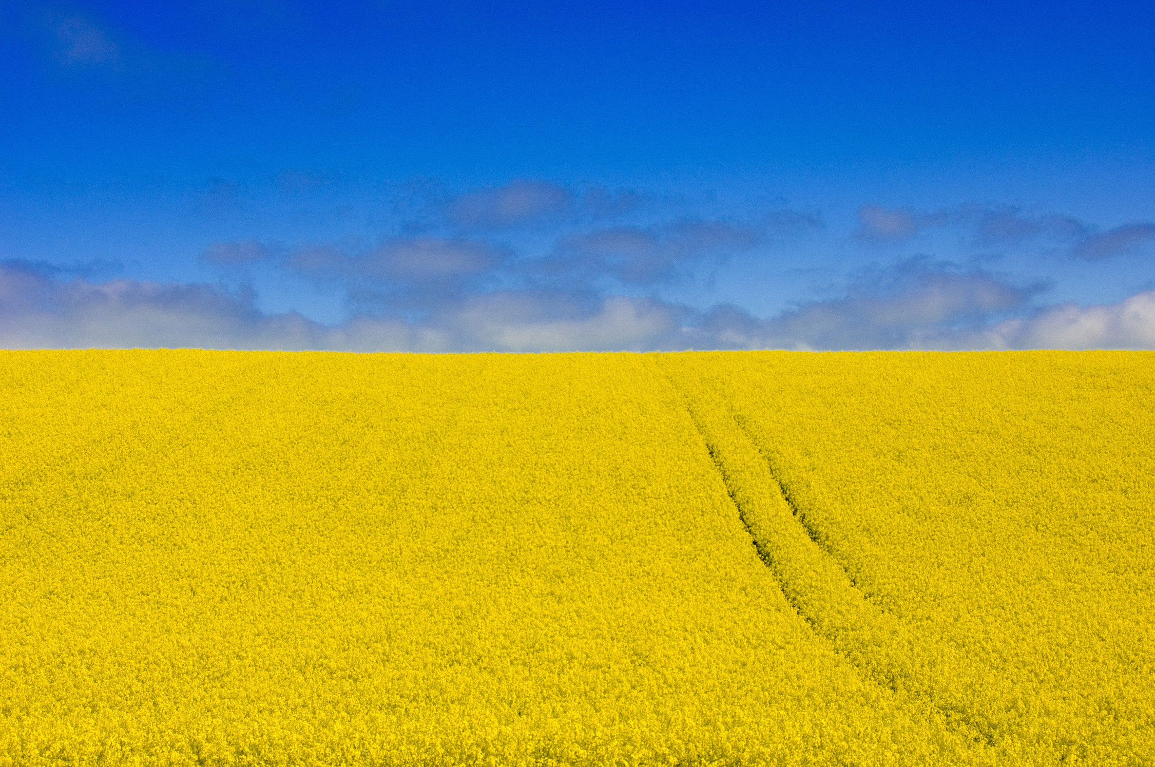 Landscape example.